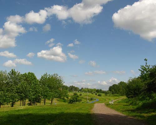 Larger version of one of the smaller images above